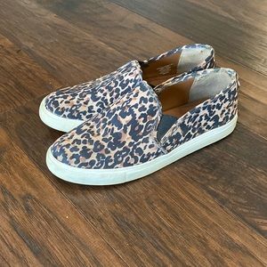 Leopard Sneakers x Steve Madden